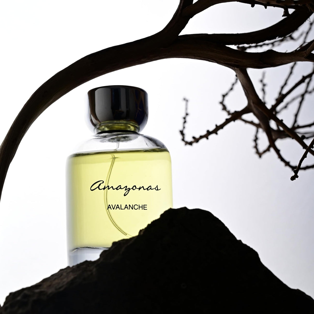 Avalanche Atralia Amazones Edp 100Ml Unisex- Inspirado en Dior Homme Dior