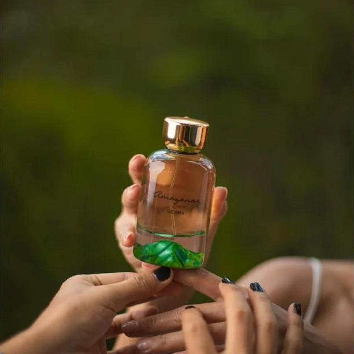 Sierra Atralia Amazones Edp 100Ml Unisex- Inspirado en Gentle Fluidity Gold Maison Francis Kurkdjian
