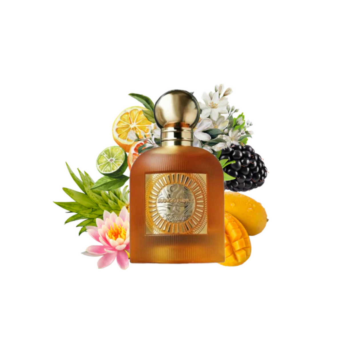 Mango Punch Emir  Edp 100Ml mujer - Inspirado en Mango Skin Vilhelm Parfumerie